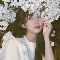 变色龙NPV加速器iOS版用户LISA,很满意变色龙NPV加速器iOS版